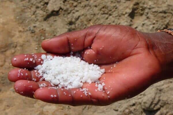 A hand full of white salt crystals