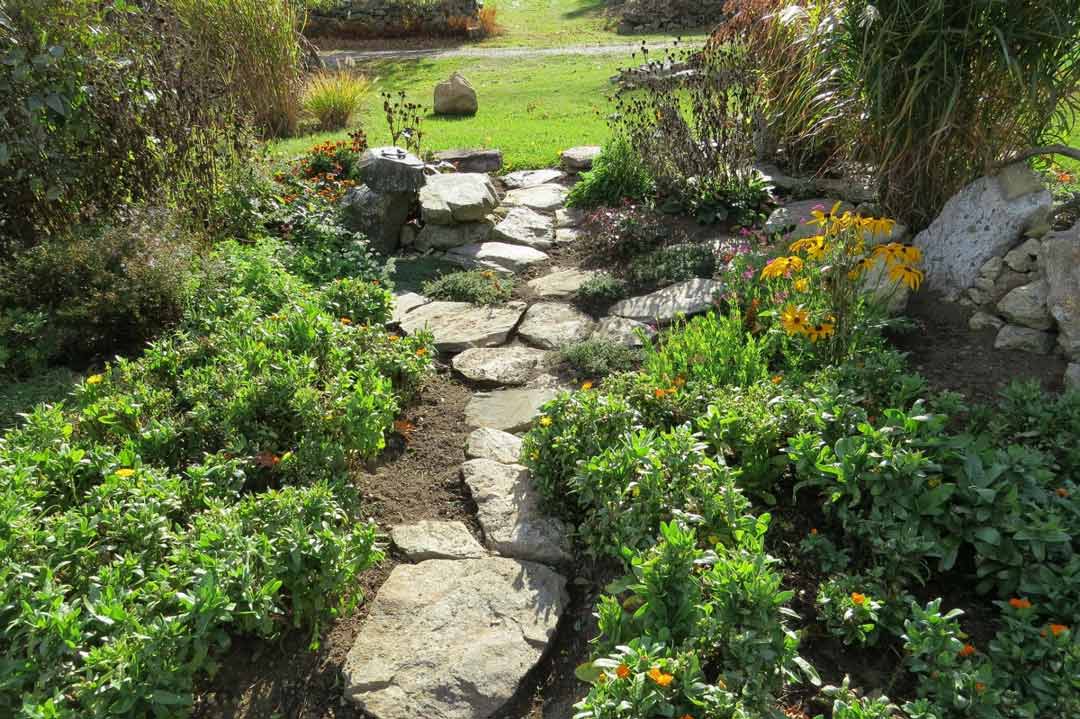 A garden path protects rich topsoil.
