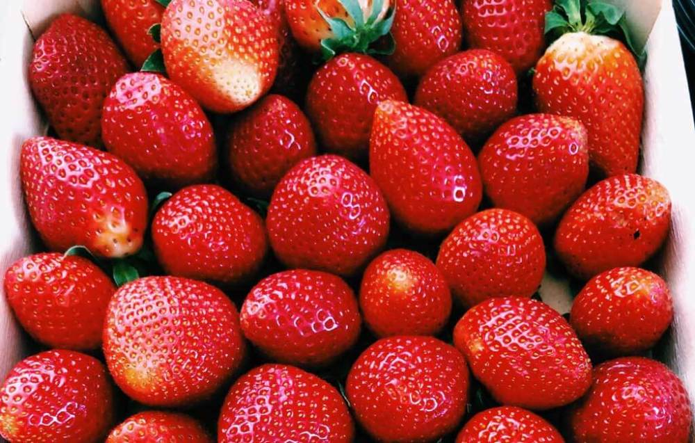 A box of perfectly ripe strawberries