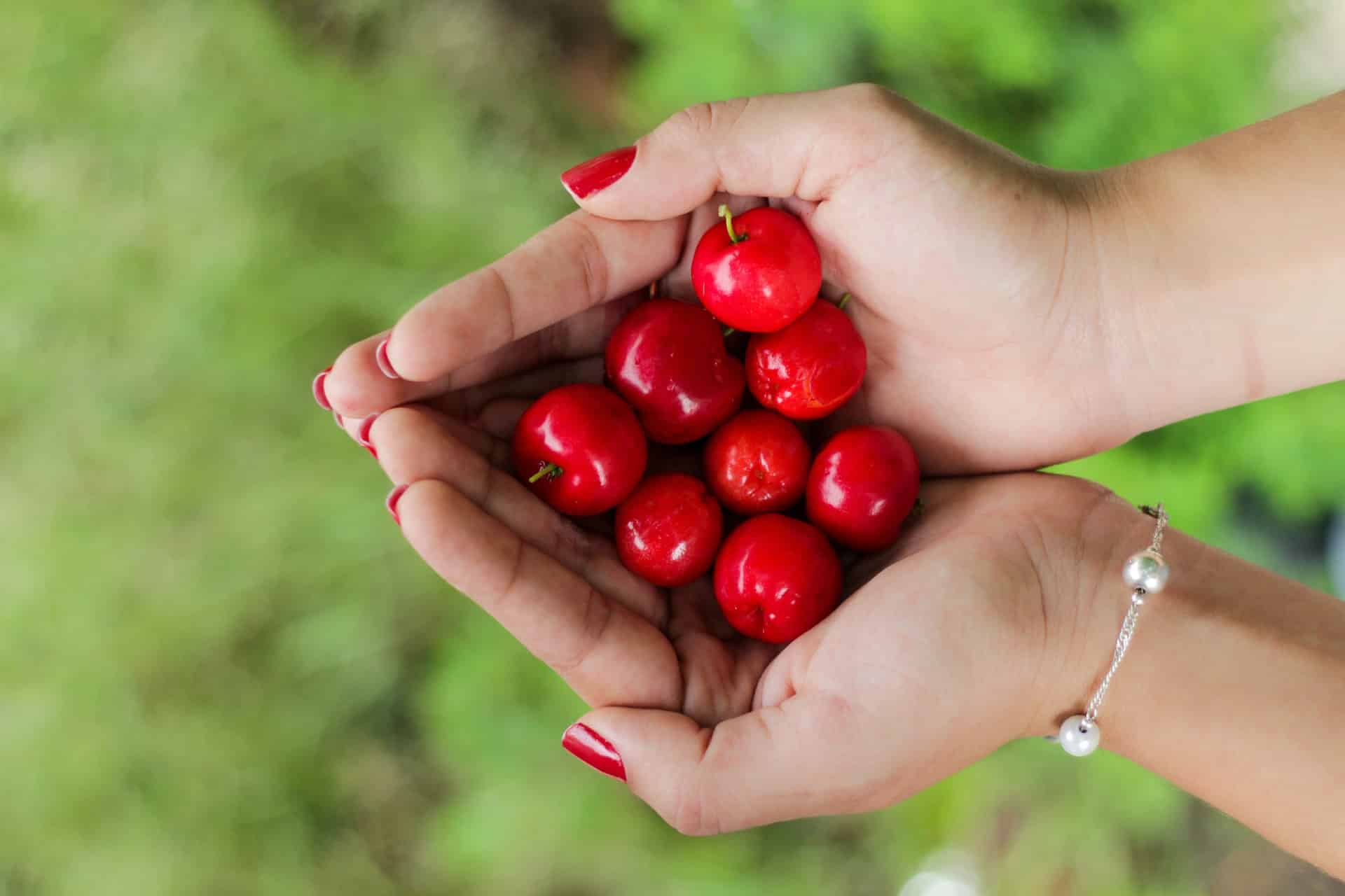 cherries in someone’s cupped hands