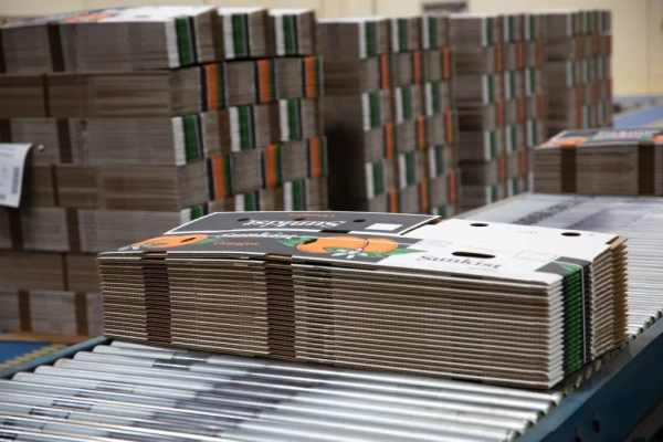 fgs-corrugated-packaging